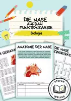 Vorschau - Arbeitsblätter - Die Nase - Sinnesorgan - Kompakt - Aufbau und Funktionsweise + Experimente - Deckblatt