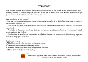 Vista previa - Hojas de trabajo - TRABAJAMOS LAS PARTES DE UNA PLANTA - página 3