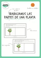 Vista previa - Hojas de trabajo - TRABAJAMOS LAS PARTES DE UNA PLANTA - Portada