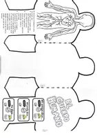 Vista previa - Hojas de trabajo - Body systems booklet - página 3