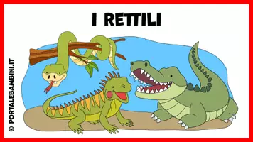 anteprima - Presentazioni / Lavagne - I rettili - Unità didattica - Pagina 1