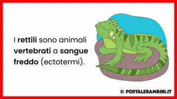 anteprima - Presentazioni / Lavagne - I rettili - Unità didattica - Pagina 2