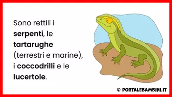 anteprima - Presentazioni / Lavagne - I rettili - Unità didattica - Pagina 3
