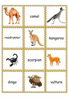 Vorschau - Spiele - Find the Cards Desert Animals - Seite 1