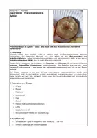 Vorschau - Experimente - Experiment – Phenoloxidasen in Äpfeln - Deckblatt