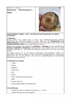 Vorschau - Experimente - Experiment – Phenoloxidasen in Äpfeln - Seite 1