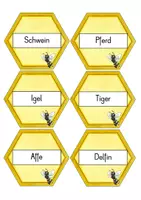 Vorschau - Unterrichtsreihen - Tiergattungen bestimmen (Säugetiere, Insekten, ...) - Bienenwaben - Legematerial - Seite 2
