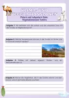 Vorschau - Arbeitsblätter - Klima- und Vegetationszonen - Polare und subpolare Zone: Vegetationszone Tundra - Seite 3