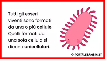 anteprima - Presentazioni / Lavagne - La cellula - Unità didattica - Pagina 2