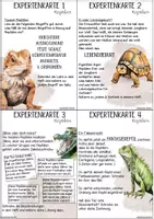 Vorschau - Unterrichtsreihen - Expertenkarten Reptilien und ihre Merkmale mit Lösungskarten und Kontrollbogen - Seite 1