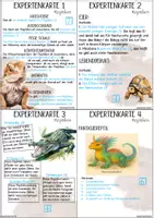 Vorschau - Unterrichtsreihen - Expertenkarten Reptilien und ihre Merkmale mit Lösungskarten und Kontrollbogen - Seite 2