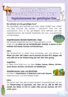 Vorschau - Arbeitsblätter - Klima- und Vegetationszonen - Vegetationszonen der gemäßigten Zone - Seite 3