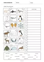 forhåndsvisning - Arctic & Antarctic: Vocabulary Worksheet 2 (engelsk) - side 3