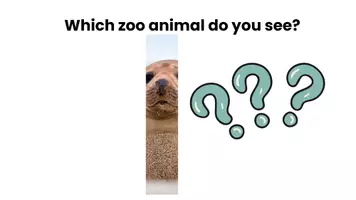 Vorschau - Spiele - Which zoo animal do you see - Seite 1