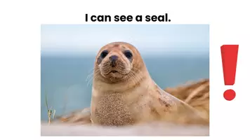 Vorschau - Spiele - Which zoo animal do you see - Seite 2