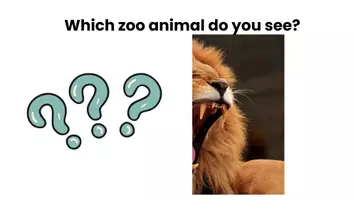 Vorschau - Spiele - Which zoo animal do you see - Seite 3