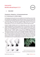 Vorschau - Test - Abiturprüfung Biologie - Miniermotten in England (Ökologie) - Seite 3