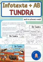 Vorschau - Arbeitsblätter - Tundra – Arbeitsblätter - Deckblatt
