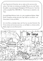 Vorschau - Arbeitsblätter - Taiga / Borealer Nadelwald – Arbeitsblätter - Seite 2