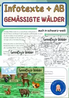 Vorschau - Arbeitsblätter - Gemäßigte Wälder – Arbeitsblätter - Deckblatt