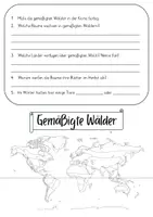 Vorschau - Arbeitsblätter - Gemäßigte Wälder – Arbeitsblätter - Seite 3