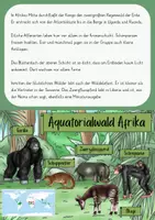 Vorschau - Arbeitsblätter - Tropischer Regenwald – Arbeitsblätter - Seite 2