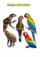 Vorschau - Test - Evolution Klassenarbeit 4fach differenziert - Deckblatt