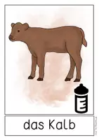 Vorschau - Poster - Differenziertes Tafelmaterial - Tierfamilie - Seite 3