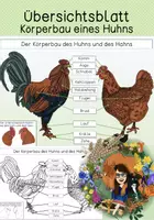 Vorschau - Arbeitsblätter - Übersichtsblatt - Körperbau eines Huhns - Deckblatt