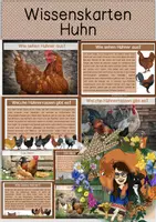 Vorschau - Stationenlernen - Einfache Wissenskarten-Huhn - Deckblatt