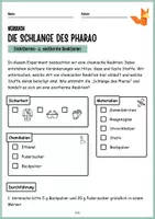 Vorschau - Arbeitsblätter - Die Schlange des Pharao - Endotherme Exotherme Reaktion Theorie, Protokoll, Arbeitsblätter, Differenziert - Seite 3