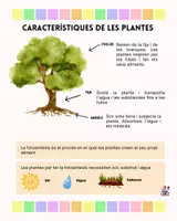 Vista previa - Unidades / Secuencias / Situaciones de Aprendizaje - Situació aprenentatge Les plantes - página 3