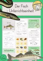 Vorschau - Stundenentwürfe - Gewässer Fische Materialpaket - Seite 1