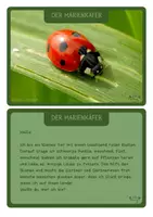 Vorschau - Bildkarten - 13 Rätselbriefe zum Raten - von den Wiesentieren - Seite 2