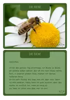 Vorschau - Bildkarten - 13 Rätselbriefe zum Raten - von den Wiesentieren - Seite 3