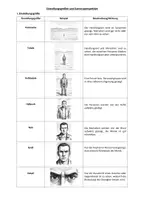 Vorschau - Arbeitsblätter - Methode: Erstellen einer Fotostory - Seite 2