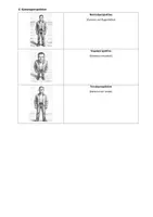 Vorschau - Arbeitsblätter - Methode: Erstellen einer Fotostory - Seite 3