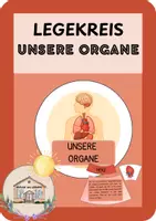 Vorschau - Präsentationen/Tafelbilder - Legekreis: Unsere Organe - Deckblatt