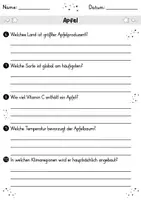 Vorschau - Arbeitsblätter - Apfel MEGABUNDLE - Wissenskartei, Lückentext, Steckbrief, Suchsel, Quizkarten - Seite 3