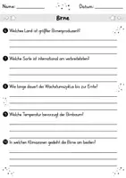 Vorschau - Arbeitsblätter - Birne MEGABUNDLE - Wissenskartei, Lückentext, Steckbrief, Suchsel, Quizkarten - Seite 3