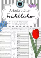 Vorschau - Arbeitsblätter - Arbeitsblätter "Frühblüher" - dreifach differenziert - ab Klasse 1 - Deckblatt