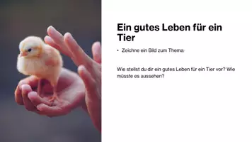 Vorschau - Stundenentwürfe - Tierisch nützlich - aber auch gerecht? - Seite 2