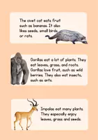 Vorschau - Text - Leseverstehen Wild Animals (Uganda) - Seite 3