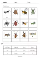 Vista previa - Hojas de trabajo - Insects / Insectos: Cut and Glue (Hoja de trabajo de inglés) - página 2