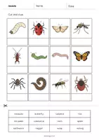 Vista previa - Hojas de trabajo - Insects / Insectos: Cut and Glue (Hoja de trabajo de inglés) - página 3