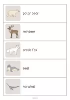 Vista previa - Juegos / Gamificación - Arctic & Antarctic / Ártico y Antártida: Running Dictation (Dictado en movimiento para la clase de inglés) - página 2