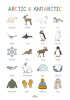 Vista previa - Tarjetas / Manipulativos - Arctic & Antarctic / Ártico y Antártida: Vocabulary Poster (Póster para la clase de inglés) - página 2