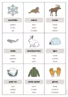 Vista previa - Juegos / Gamificación - Arctic & Antarctic / Ártico y Antártida: Don’t say it! (Juego para la clase de inglés) - página 3