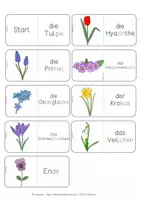 Vorschau - Spiele - Domino - Frühblüher - Seite 3