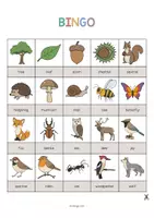 Vista previa - Juegos / Gamificación - Forest / Bosque: Bingo (Juego para la clase de inglés) - página 2